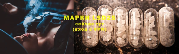 apvp Осинники