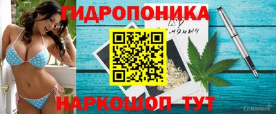 скорость Жуковский