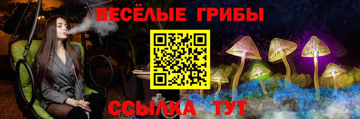 Тула  купить наркоту  Вход с VPN  Псилоцибиновые грибы Cubensis 